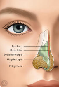 Behandlung der Nase mit Kristall Kortison